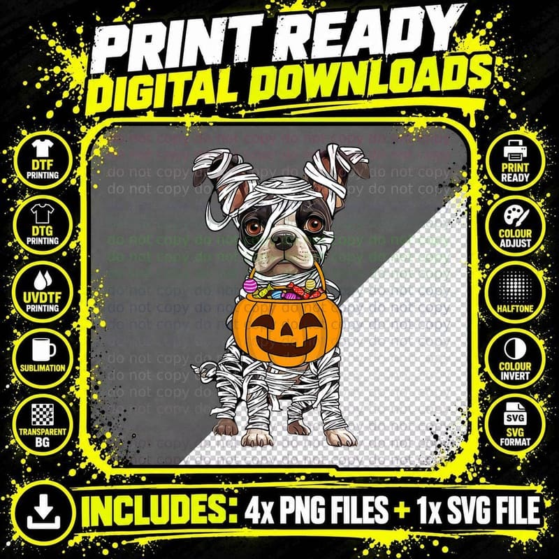Funny Boston Terrier Dog Mummy Halloween Pumpkin Basket Png SVG Digital Bundle