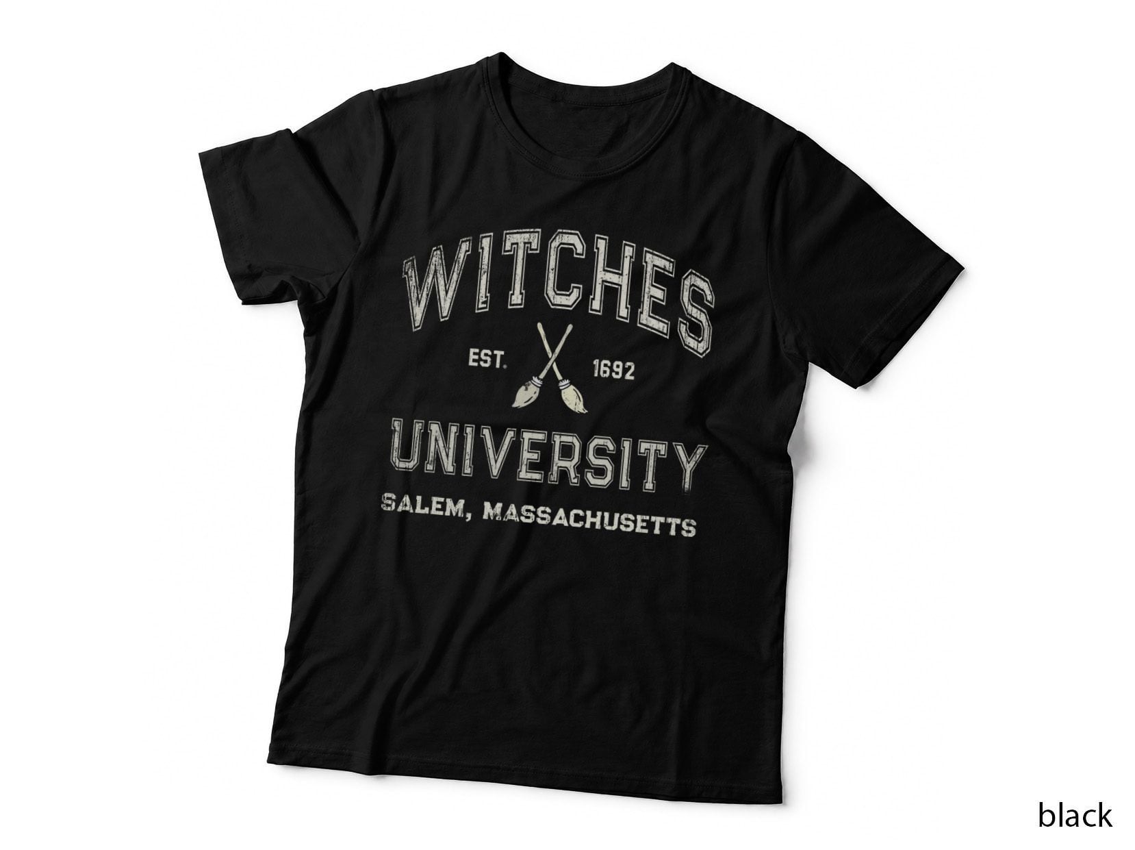 Funny Witches University Salem Witch Broom Company 1692 T-Shirt
