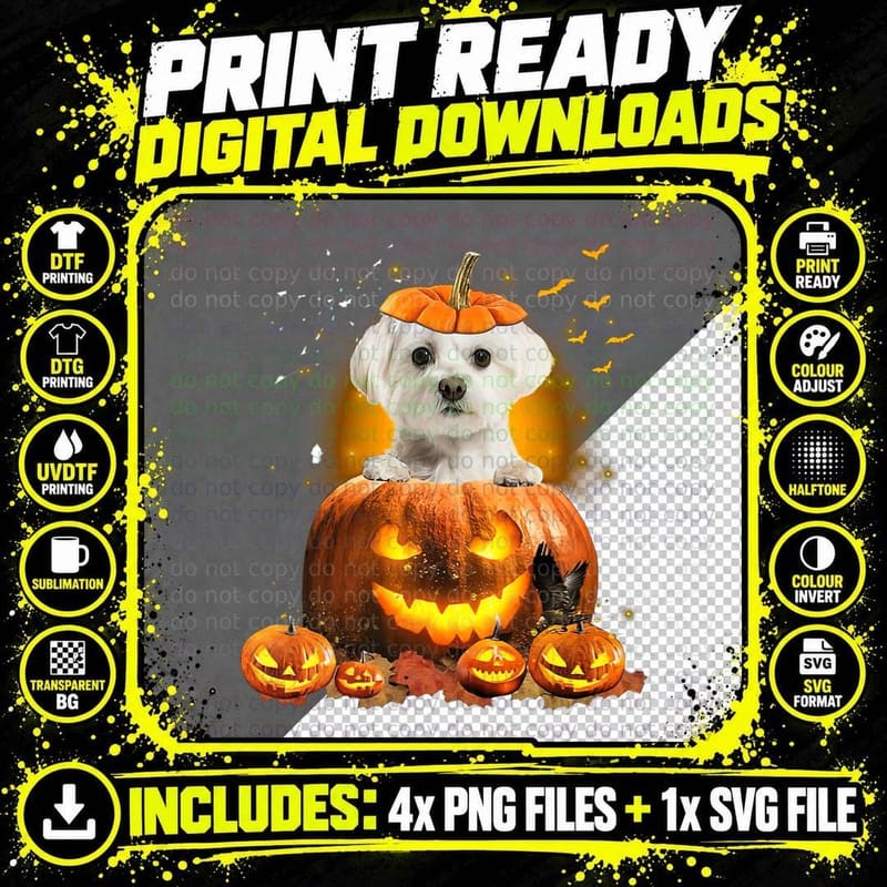 Maltese Pumpkin Shirt Funny Cute Dog Lover Halloween Png SVG Digital Bundle
