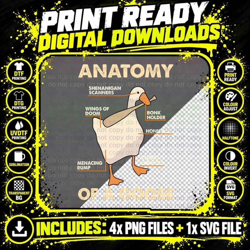 Anatomy of a Goose Funny Meme Animal Lover Goose Honk Png SVG Digital Bundle