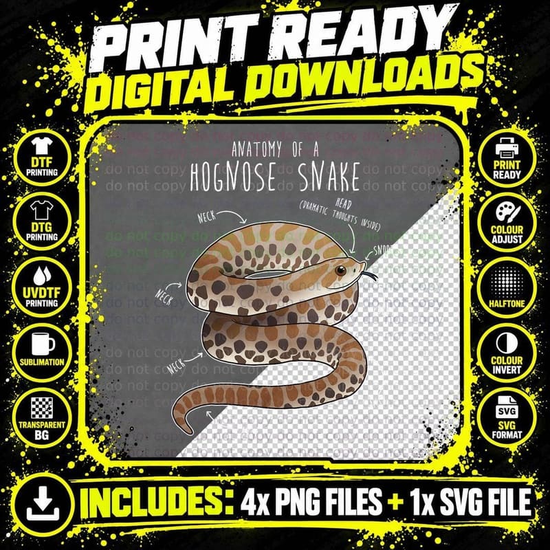 Anatomy of a Hognose Snake, Funny Pet Reptile Animal Png SVG Digital Bundle