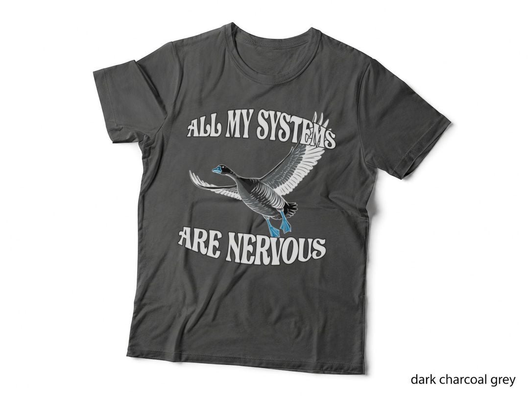 Before My T-Shirt, Funny Sarcastic Tee, Humor Lover Shirt