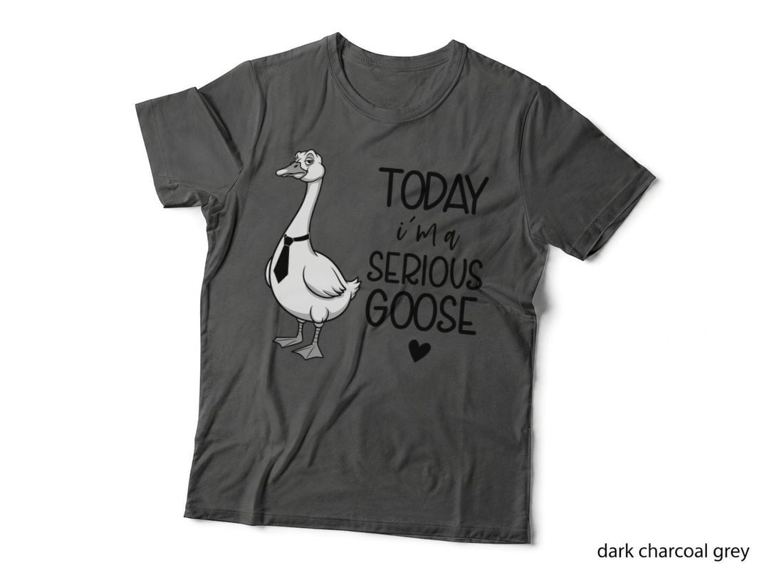Today I'm a Serious Goose Sarcastic Animal T-Shirt