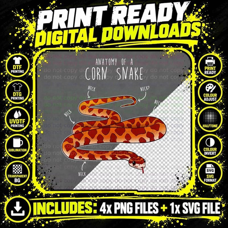 Anatomy of a Corn Tee Snake Funny Pet Reptile T-Shirt Png SVG Digital Bundle