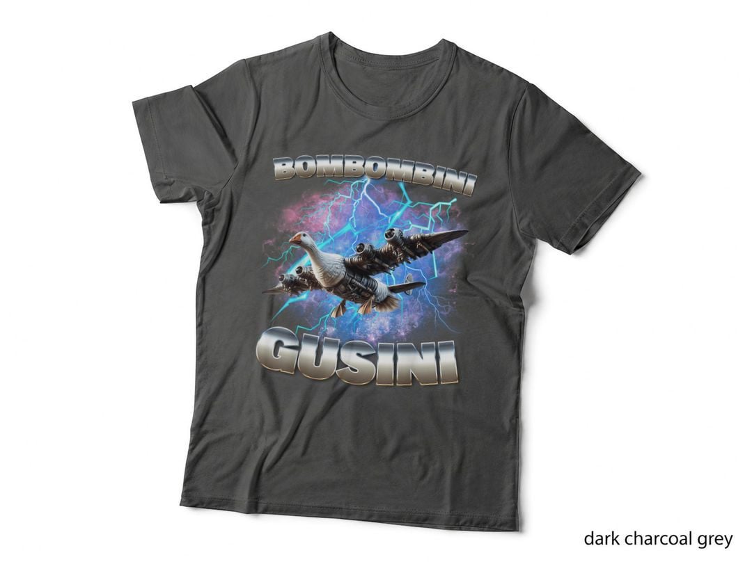 Bombombini Gusini Italian Brainrot Memes Internet Meme Goose T-Shirt