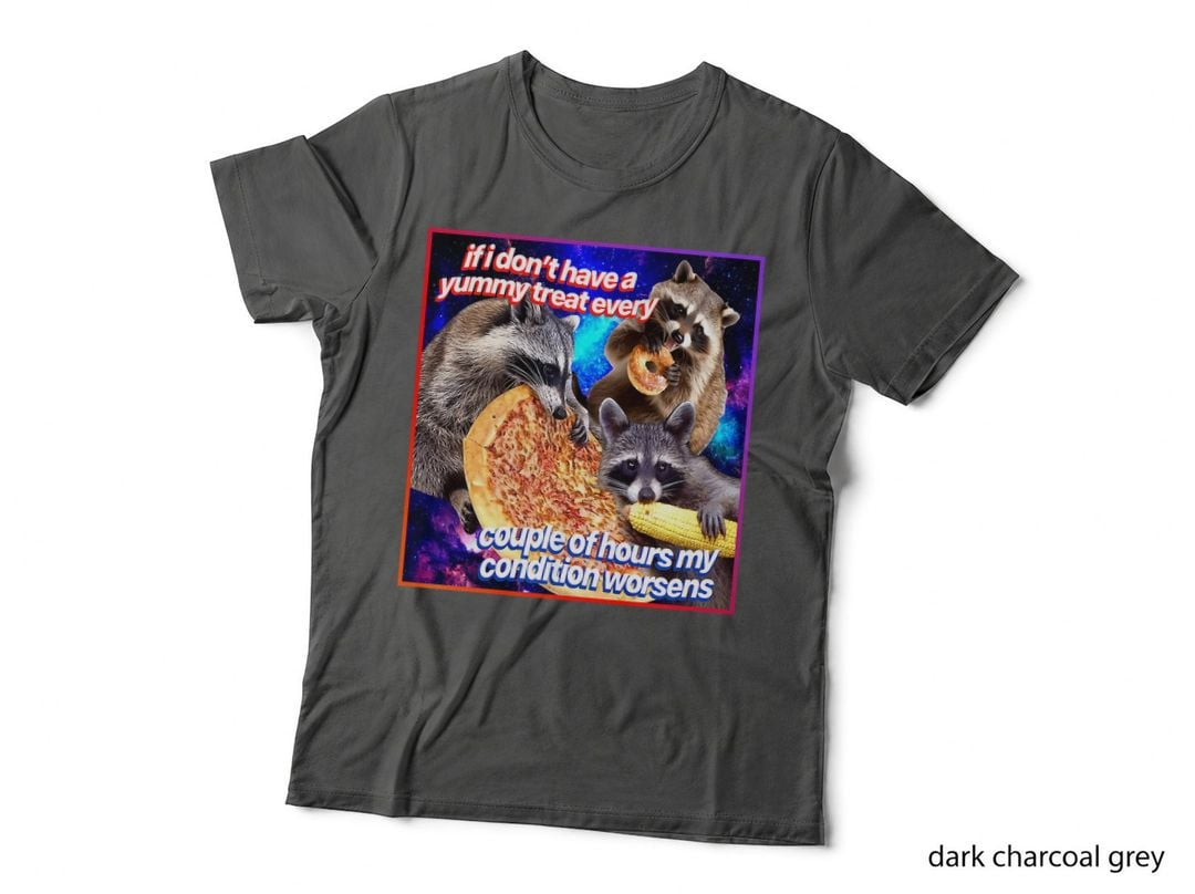 If I Don't Have a Yummy Treat Raccoon Opossums Possums Meme T-Shirt