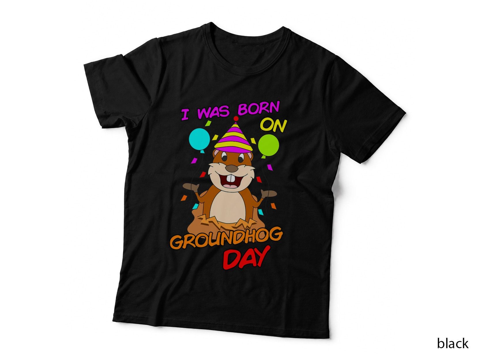 I Was Born on Groundhog Day Funny Birthday Party Gift T-Shirt