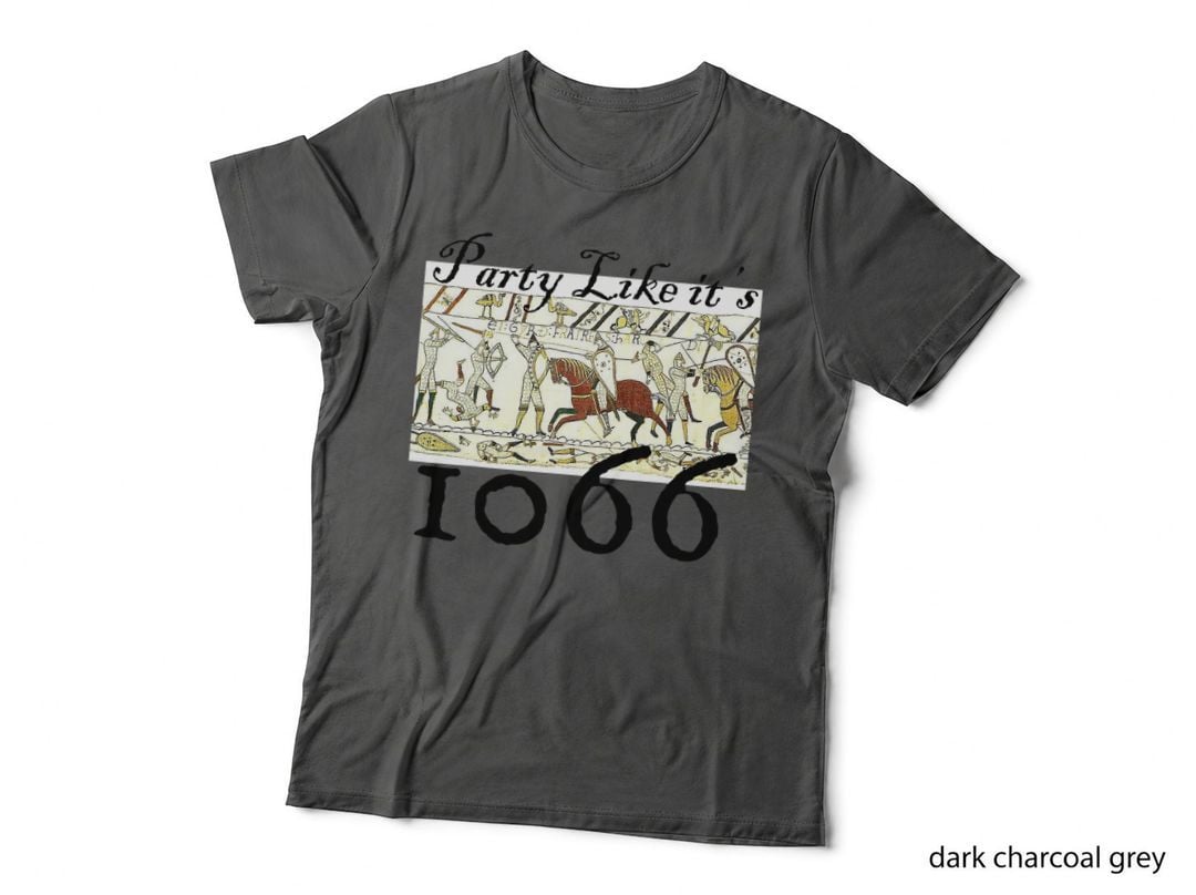 Medieval Bayeux Tapestry, Quirky Historic Funny T-Shirt
