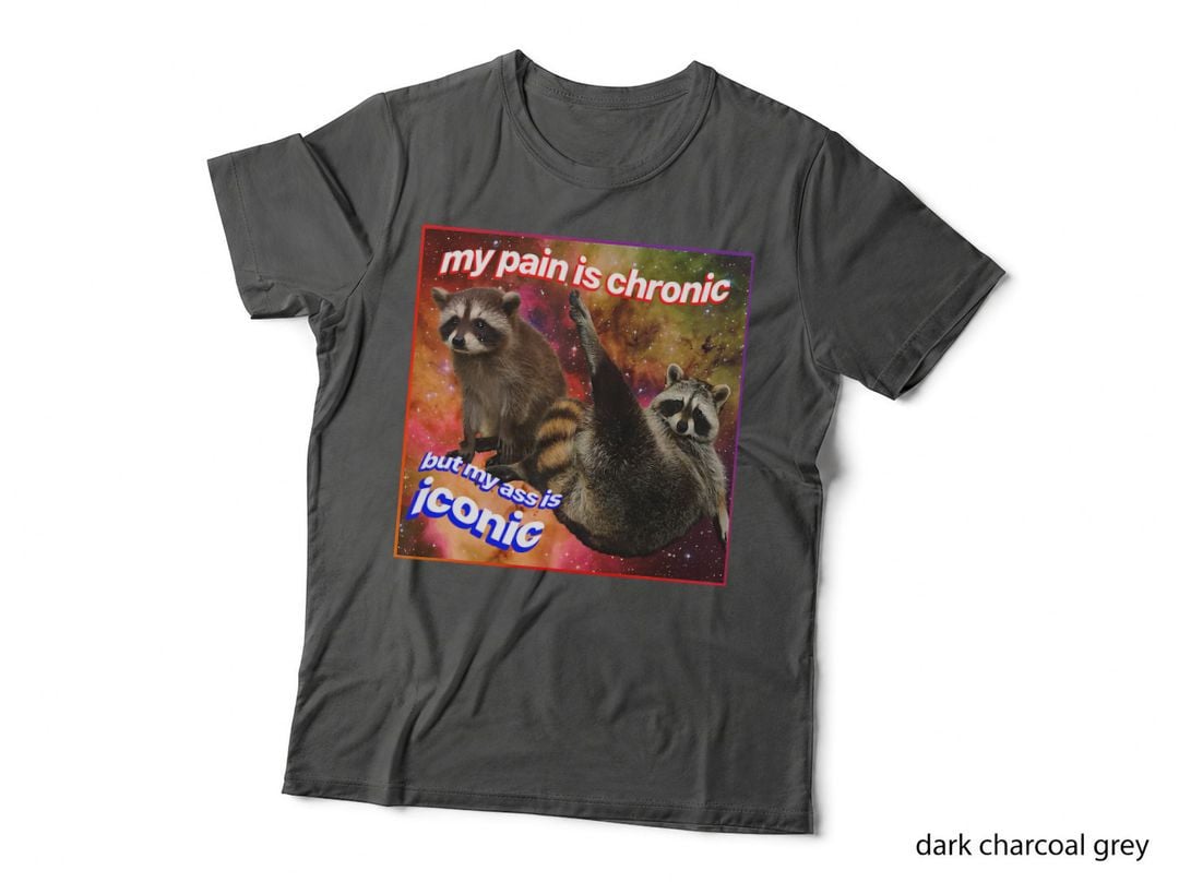 My Pain Is Chronic but My Ass Is Iconic Raccoon Opossum Meme T-Shirt