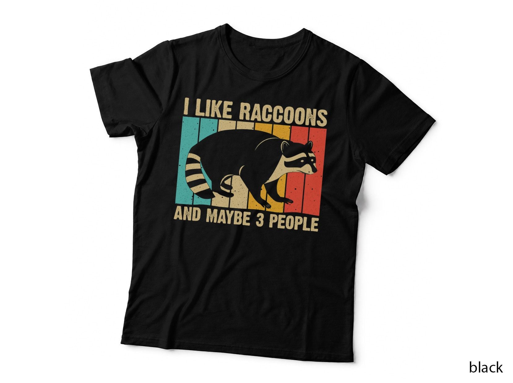 Funny Raccoon Design for Men Women Raccoon Lover Introvert T-Shirt