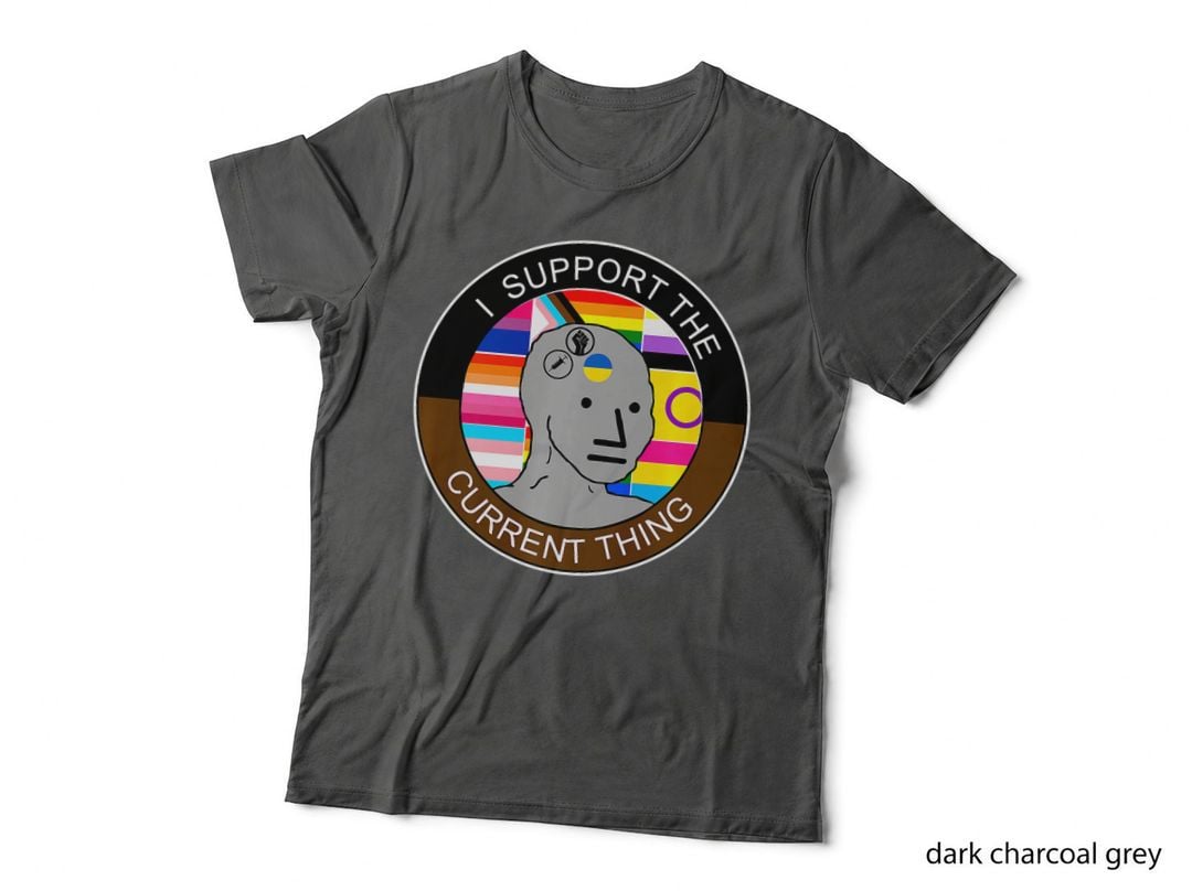 I Support the Current Thing Meme T-Shirt, Humor Funny Gift Tee