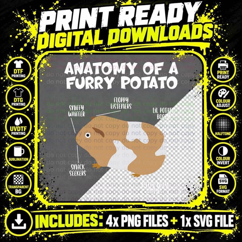 Funny and Cute Anatomy of a Furry Potato Soft Guinea Png SVG Digital Bundle