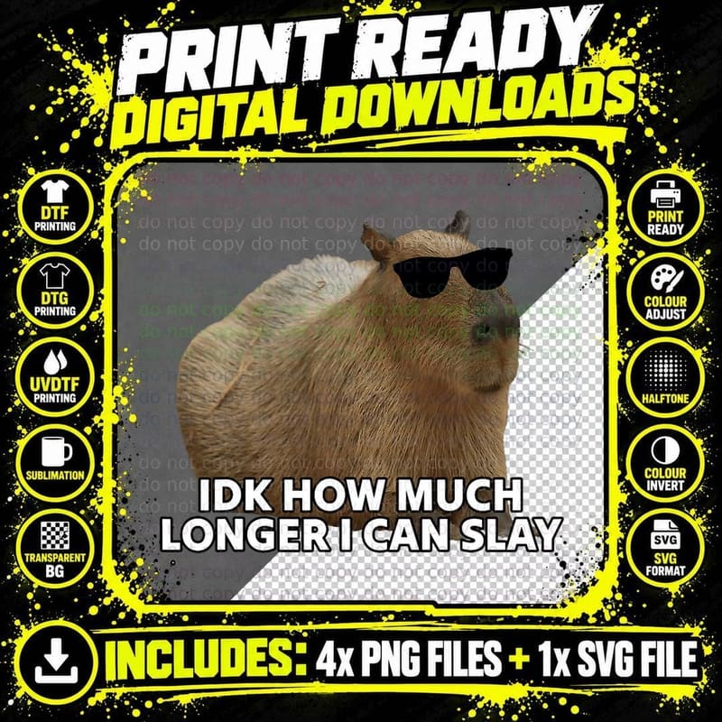 Idk How Much Longer I Can Slay Capybara Sarcastic Dank Png SVG Digital Bundle