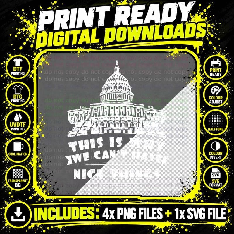 This Is Why We Can't Have Nice Things Anti Government Png SVG Digital Bundle