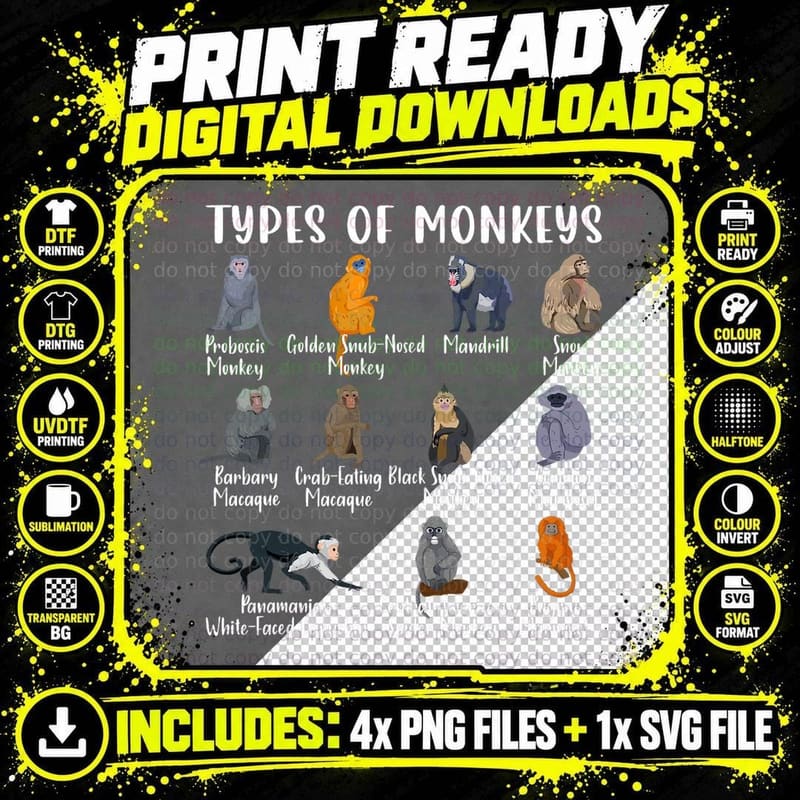 Types of Monkeys T-Shirt Funny Cute Monkey T-Shirt Png SVG Digital Bundle
