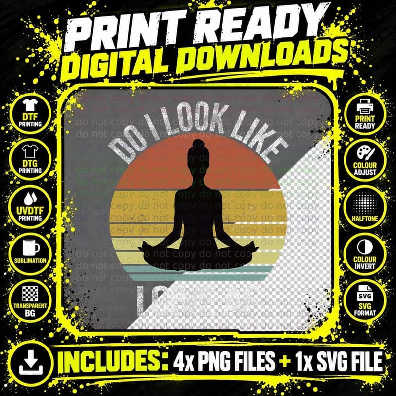 Do I Look Like I Give AF Dilligaf Funny Adult Vintage Png SVG Digital Bundle