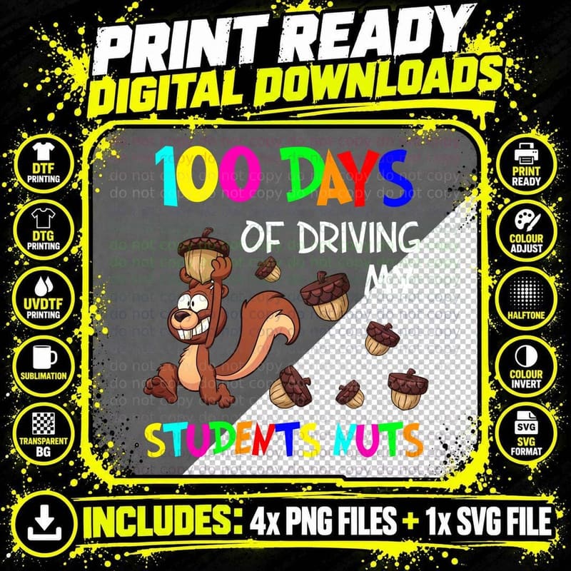 100 Days of Driving Students Nuts T-Shirt, Funny Sarcasm Png SVG Digital Bundle