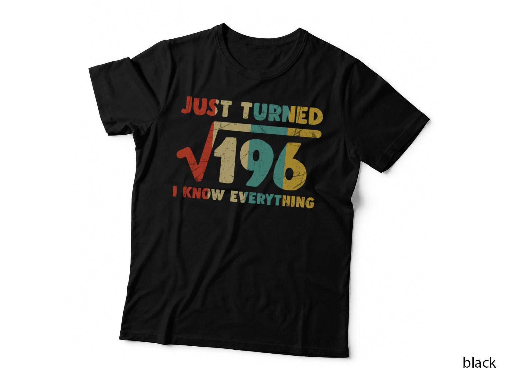 Just Turned 196 T-Shirt, Vintage Retro Style, Funny Sarcasm