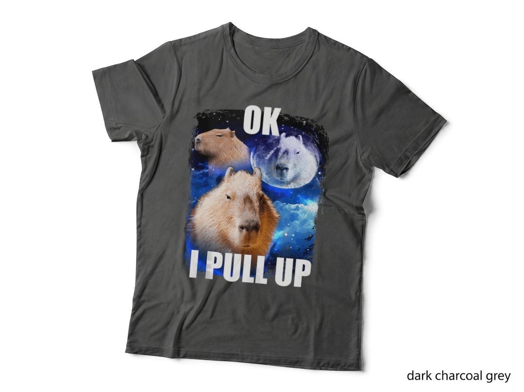 Capybara Meme Funny Animal Humor, Pet Lover Apparel, Funny T-Shirt