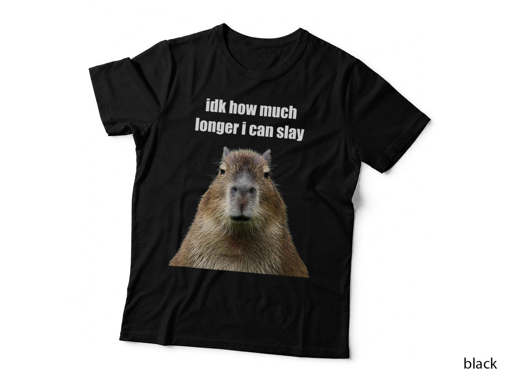 Funny Capybara Slay Meme T-Shirt, Sarcastic Animal Humor, Pet Lover Apparel