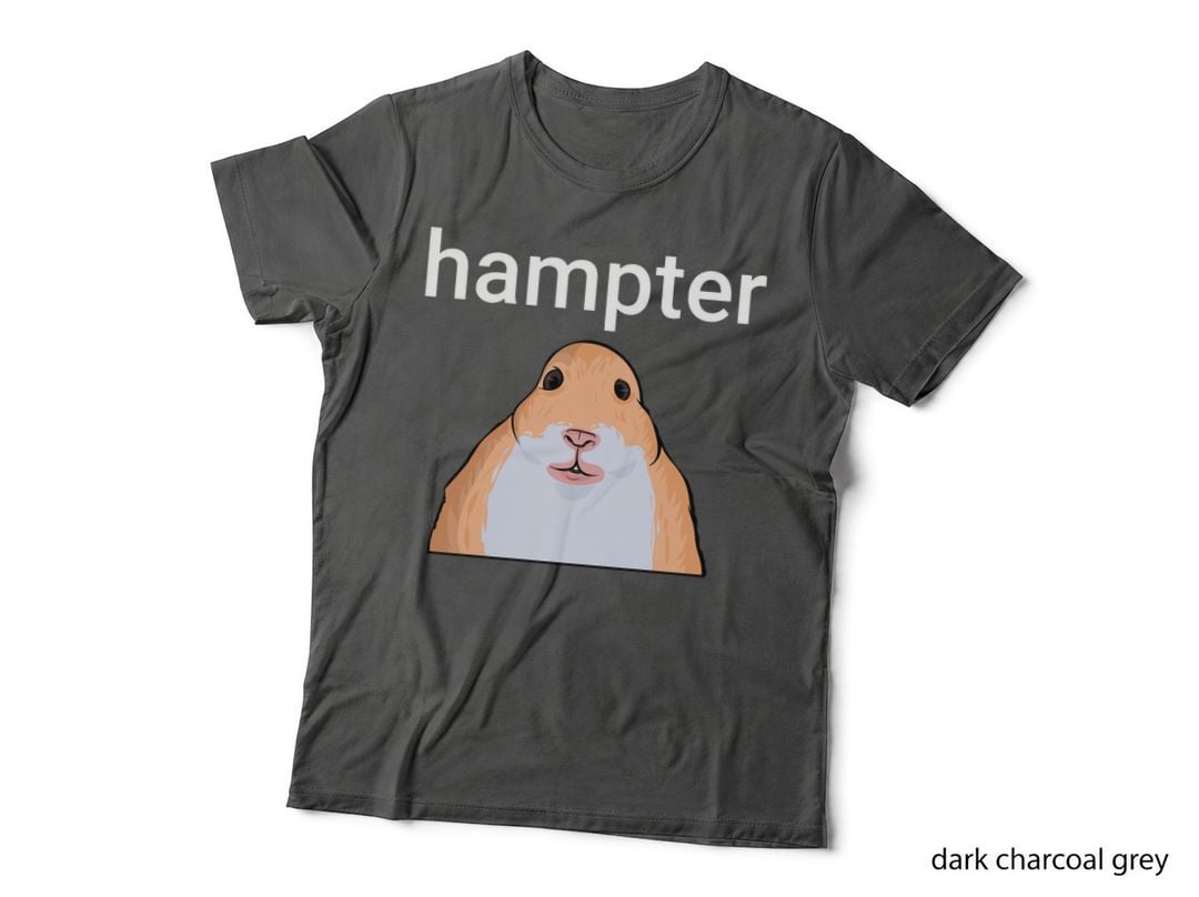Hampter Funny Hamster Dank Meme Pullover Hoodie, Novelty Gift T-Shirt
