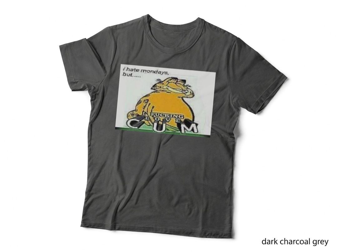 I Hate Mondays but I Love You T-Shirt, Funny Sarcasm