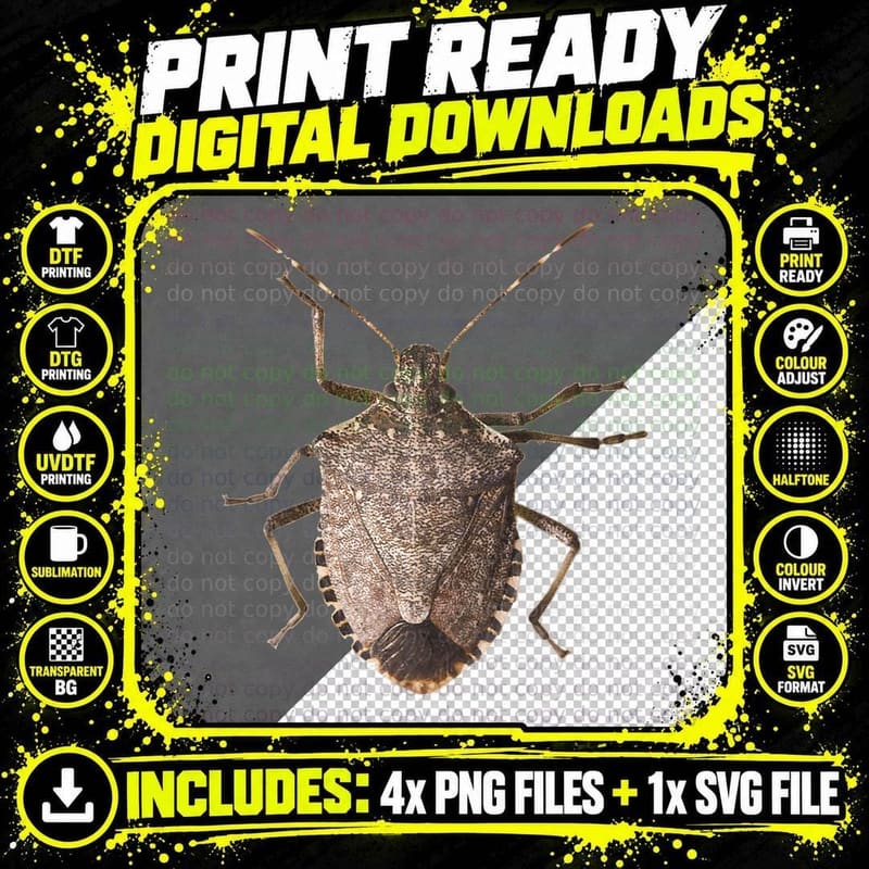 Stink Bug Insect T-Shirt, Funny Entomology Design Png SVG Digital Bundle