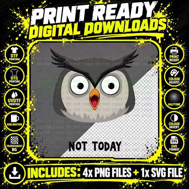 Funny Owl, Not Today, Cute Cartoon Owl Face Graphic Png SVG Digital Bundle