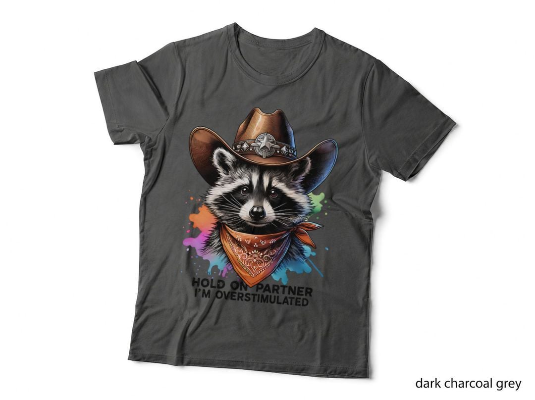 Hold on Partner I'm Overstimulated Funny Raccoon Graphic Gift T-Shirt