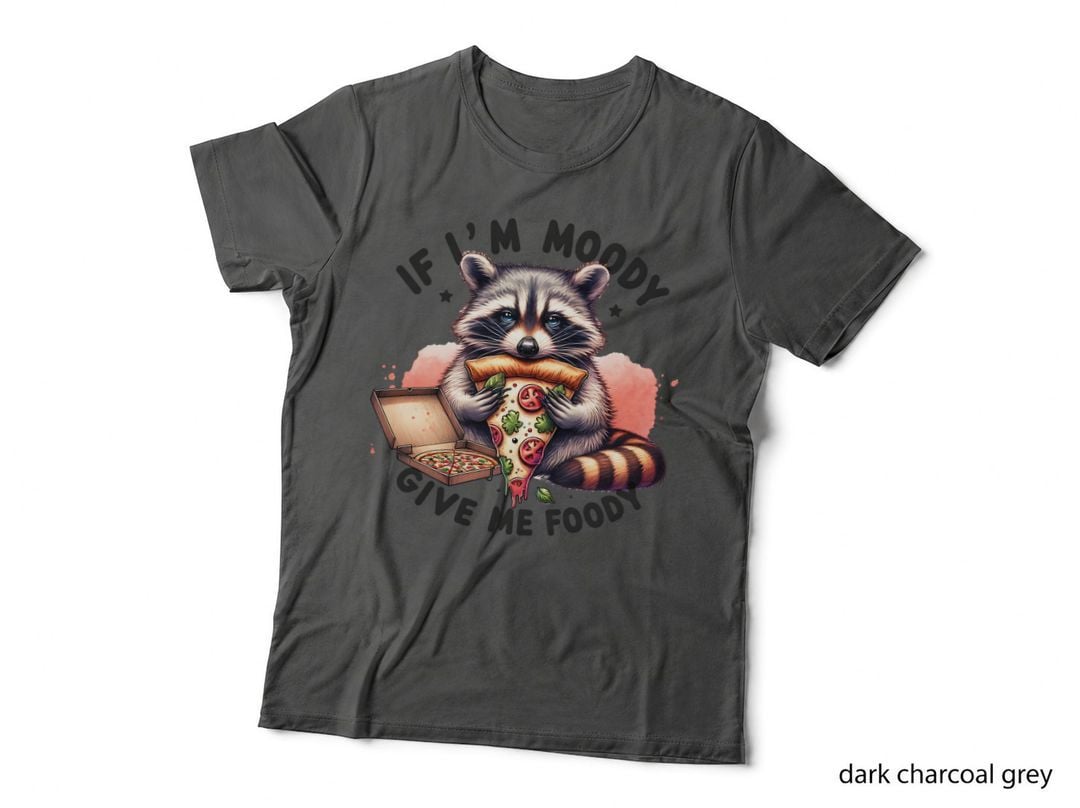 I'm Moody Give Me Foody Raccoon, Funny Animal Bright Gift T-Shirt