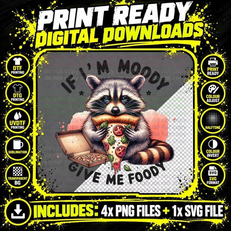 I'm Moody Give Me Foody Raccoon, Funny Animal Bright Png SVG Digital Bundle