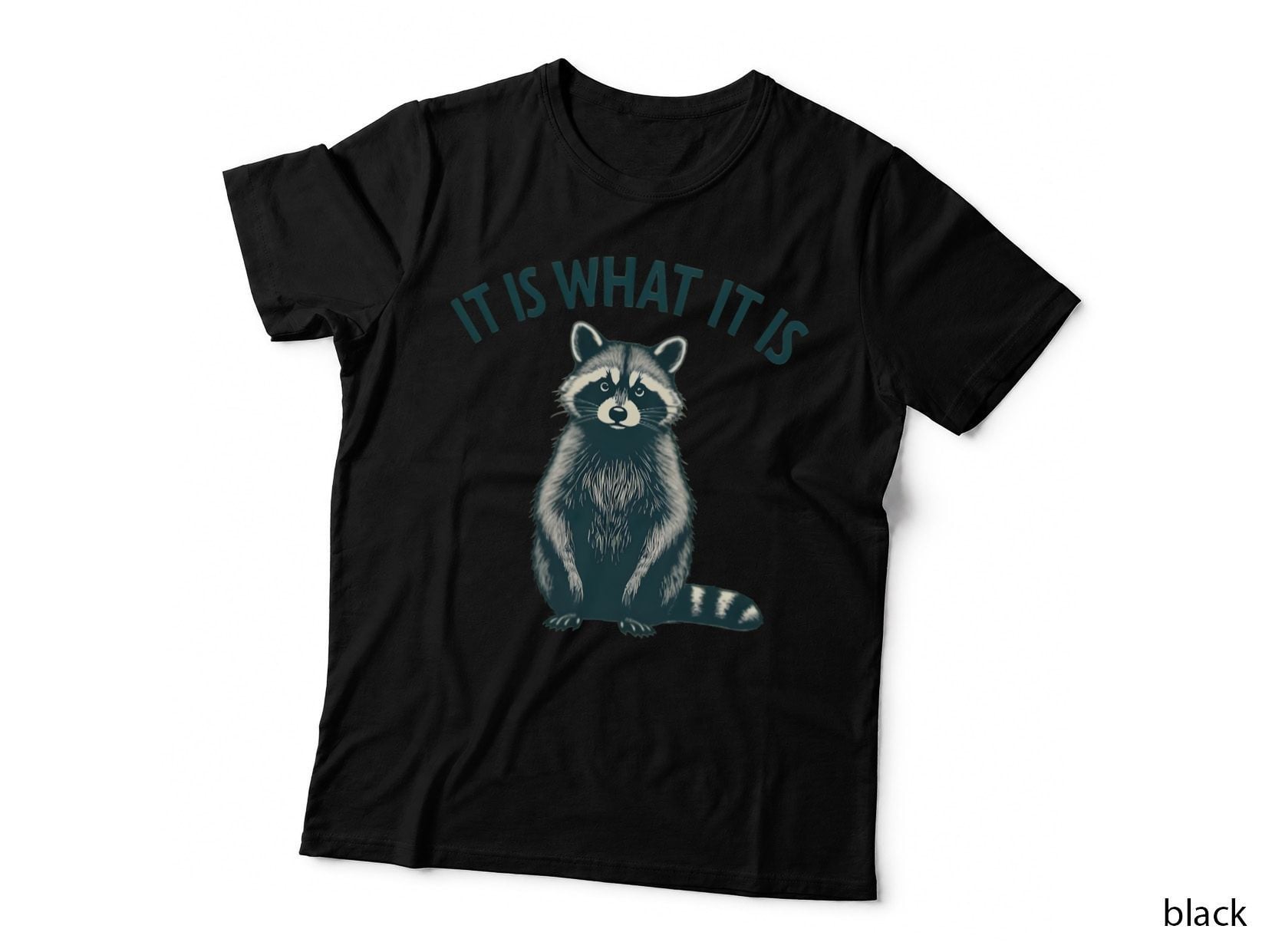 It Is What It Is' Raccoon Art, Funny T-Shirt