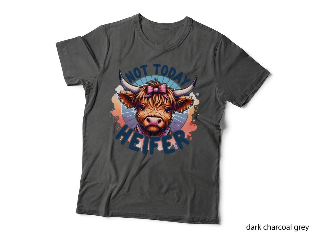 Not Today Heifer, Retro Vintage, Funny Aesthetic, Gift Idea, Gift T-Shirt