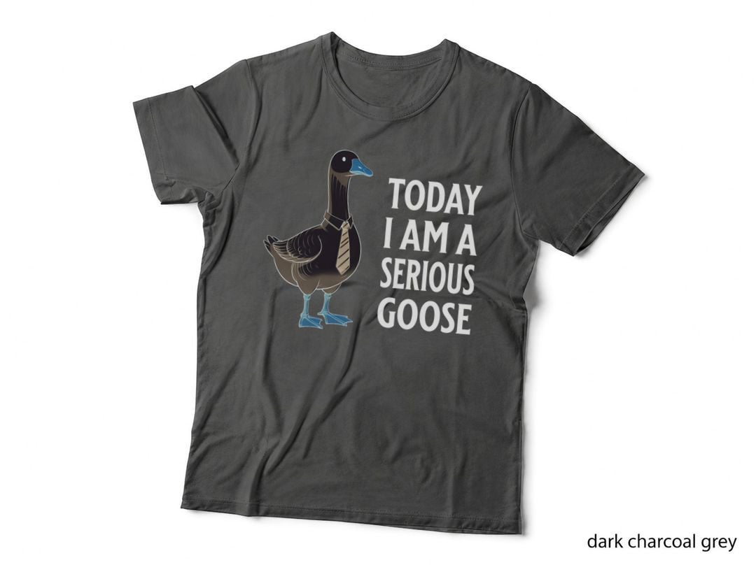 Today I Am a Serious Goose Funny Cartoon Goose Trendy Humor Gift T-Shirt