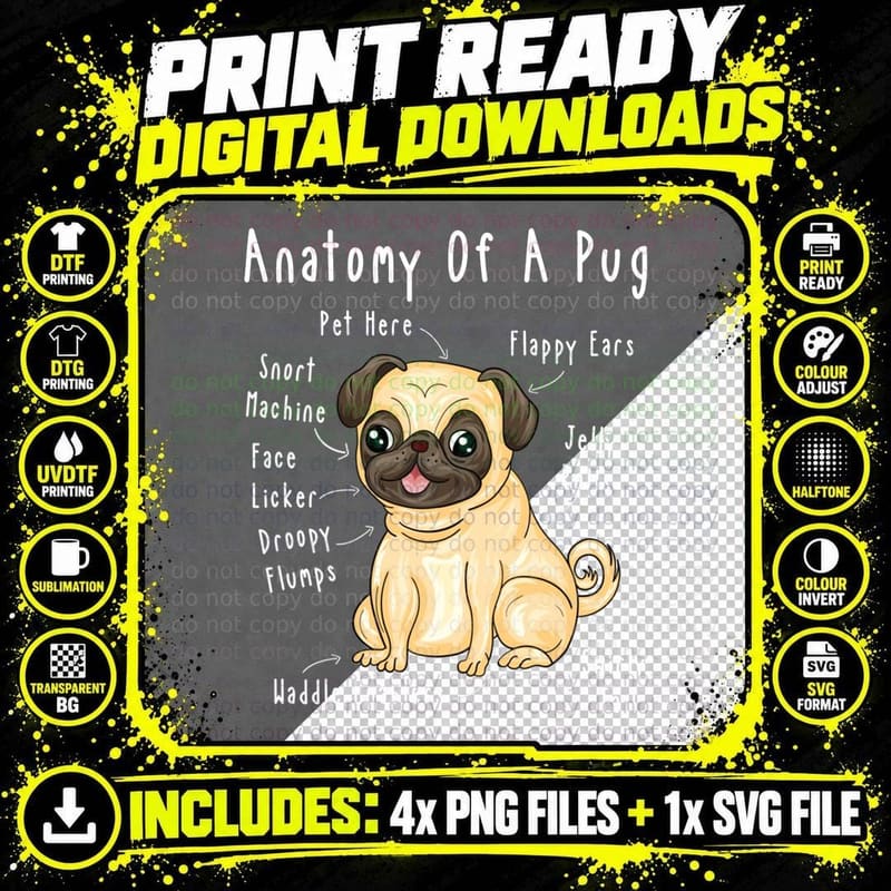 Anatomy of a Pug Funny Pug Owner Pug Saying Pug Parent Png SVG Digital Bundle