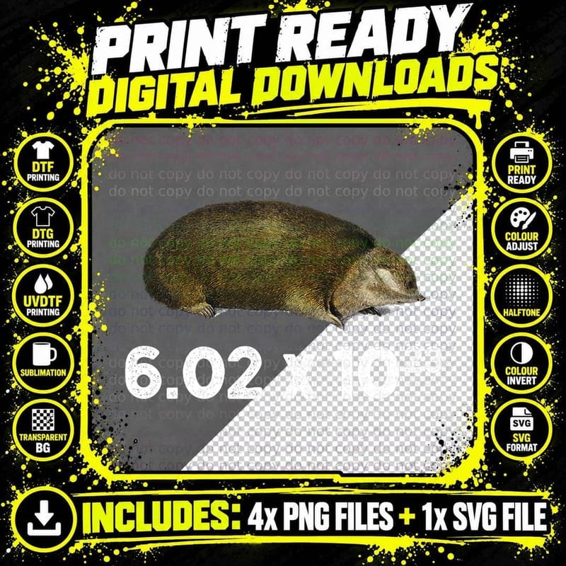 Avagadros Number Funny Mole Day Chemistry T Avogadro Png SVG Digital Bundle