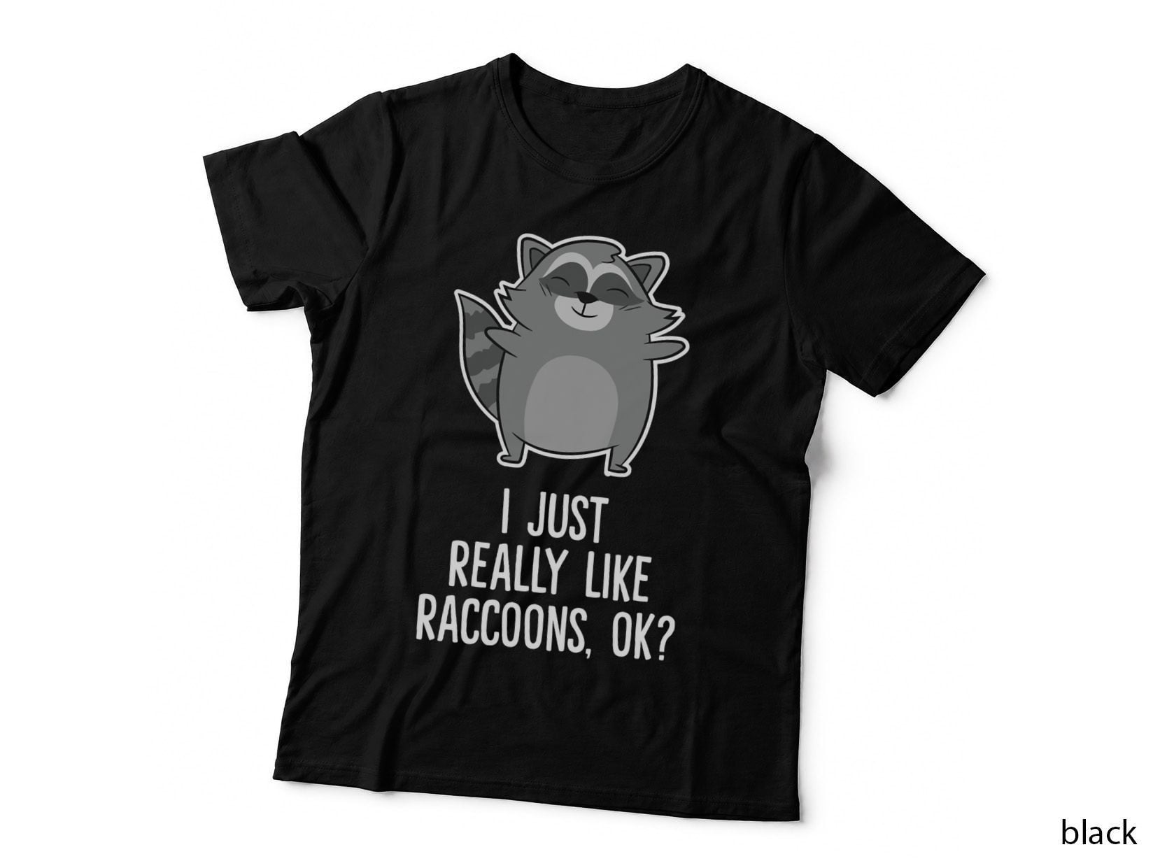 I Just Really Like Raccoons Funny Love Raccoons Pullover Hoodie T-Shirt