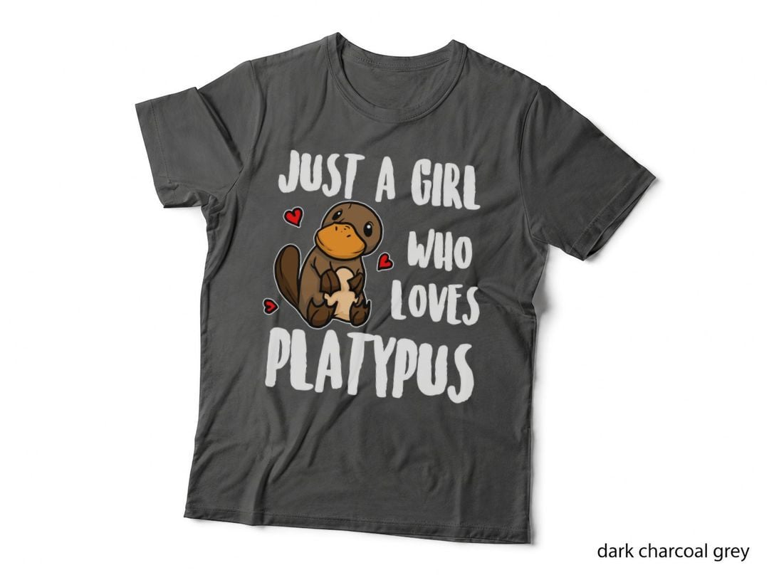 Just a Girl Who Loves Platypus Funny Platypus Costume Pullover Hoodie T-Shirt