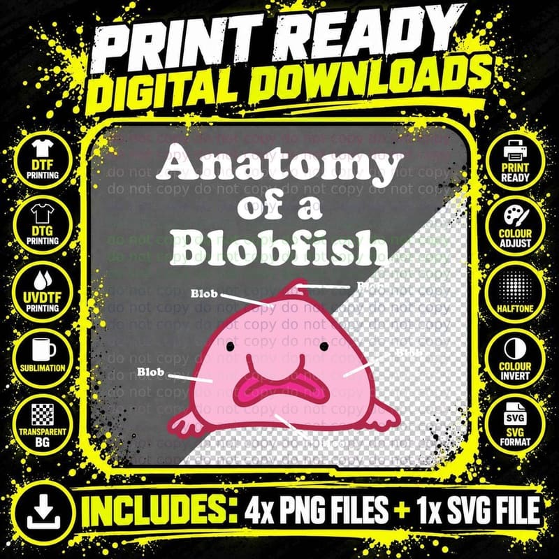 Anatomy of a Blobfish Hoodie, Funny Meme Clothing Gifts Png SVG Digital Bundle