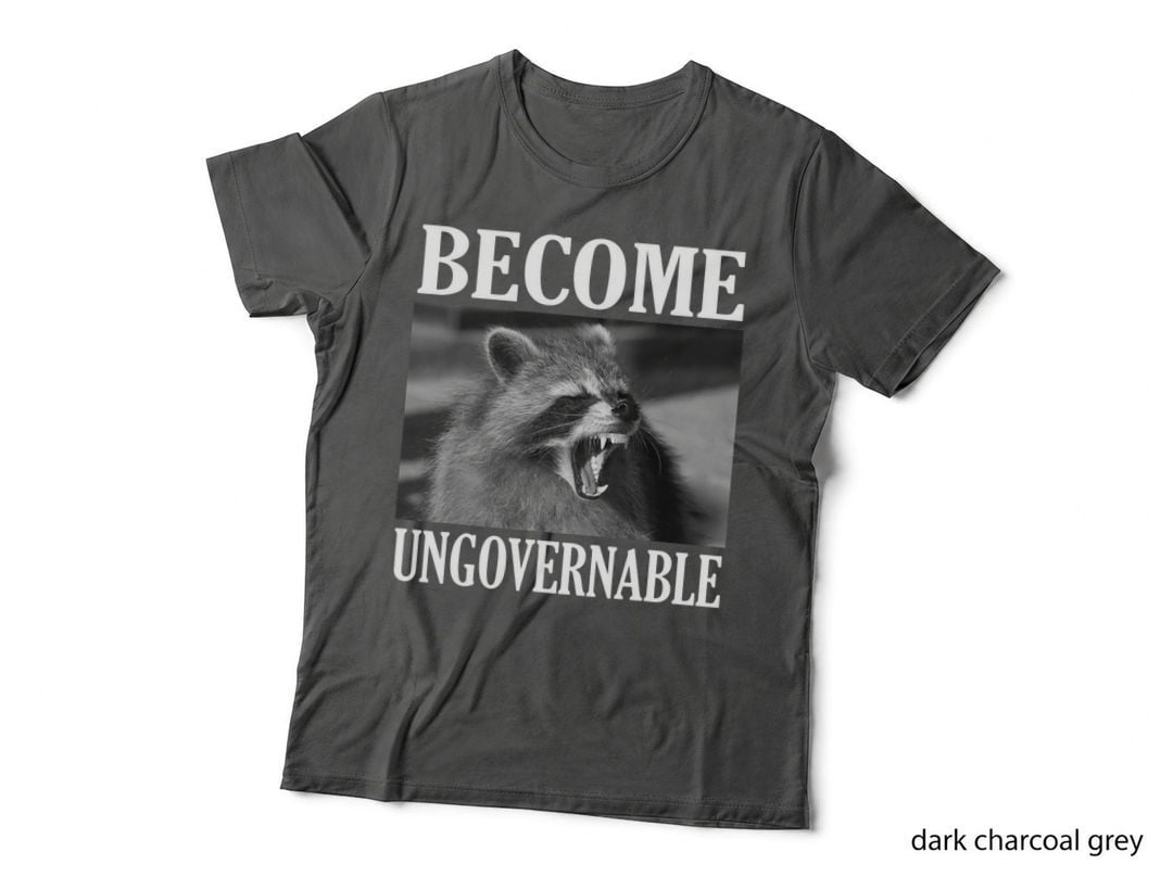 Become Ungovernable Funny Raccoon Face Meme Men Women Pullover Hoodie T-Shirt