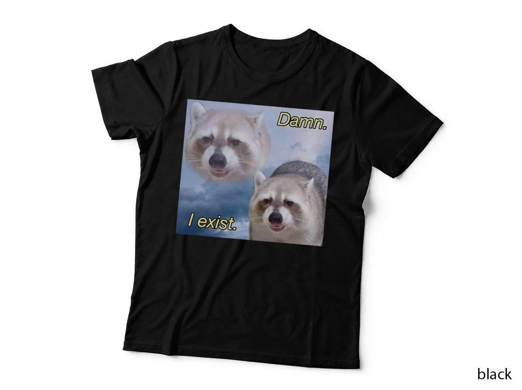 Dank Meme Raccoon Philosophy Dang I Exist Funny Zoomer T-Shirt