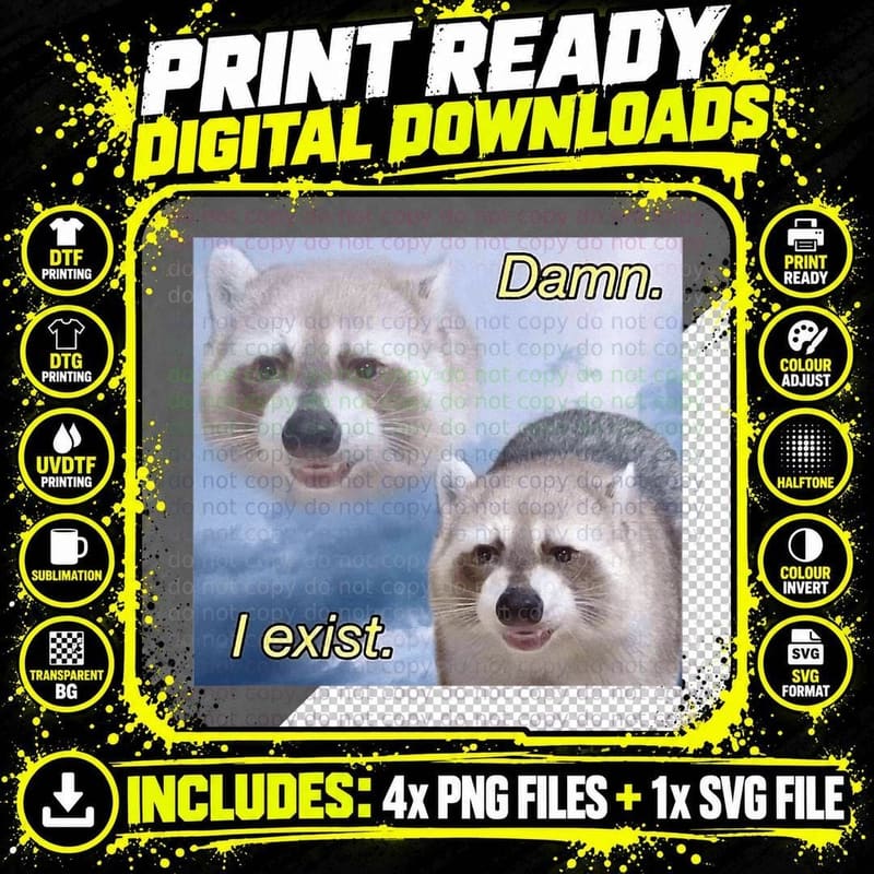 Dank Meme Raccoon Philosophy Dang I Exist Funny Zoomer Png SVG Digital Bundle