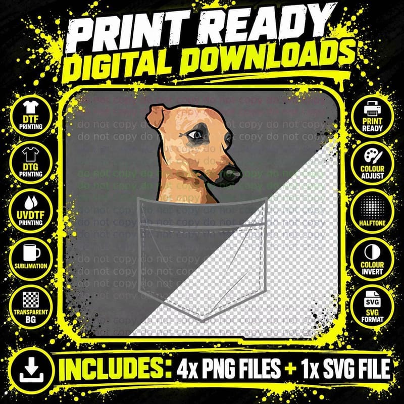 Funny Greyhound Design for Men Women Italian Greyhound Png SVG Digital Bundle