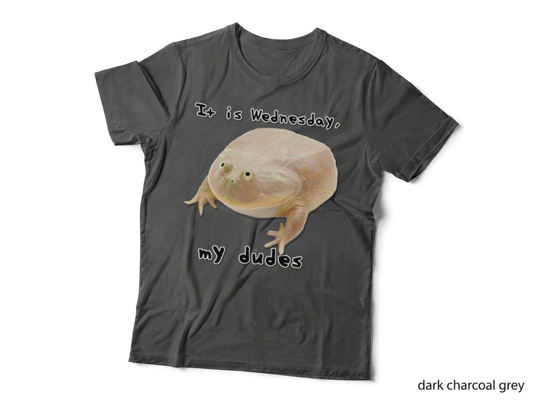 It Is Wednesday My Dudes - Funny Edgy Frog Meme Hoodie T-Shirt