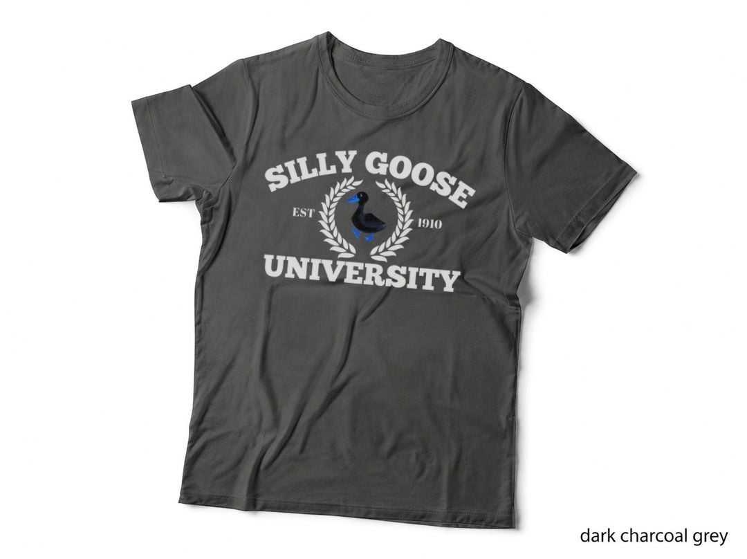 Silly Goose University Meme Pullover Hoodie, Novelty Gift T-Shirt