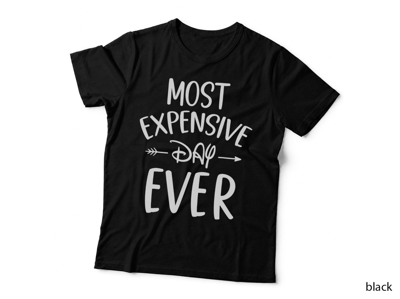 Most Expensive Day Ever Vacation Travel Funny Saying T-Shirt