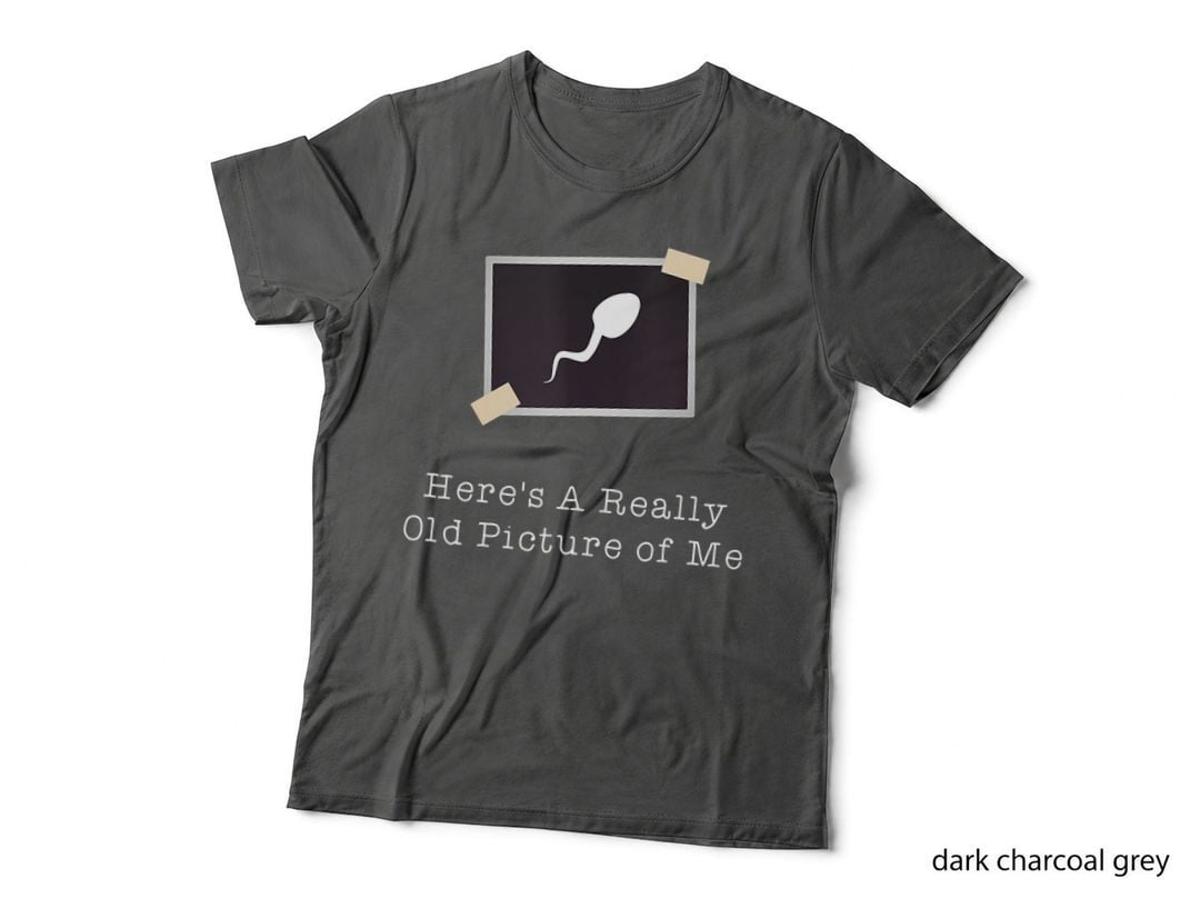 This Is a Really Old Picture of Me Sarcastic Joke T-Shirt