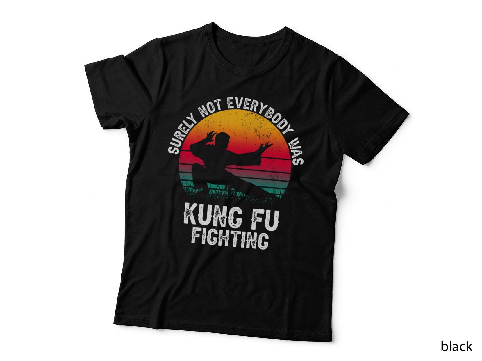 Surely Not Everybody Was Kung Fu Fighting Lover Martial Arts T-Shirt