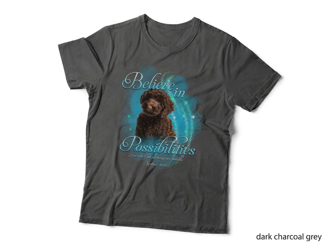 Poodle Believe in Possibilities T-Shirt, Inspirational Typography