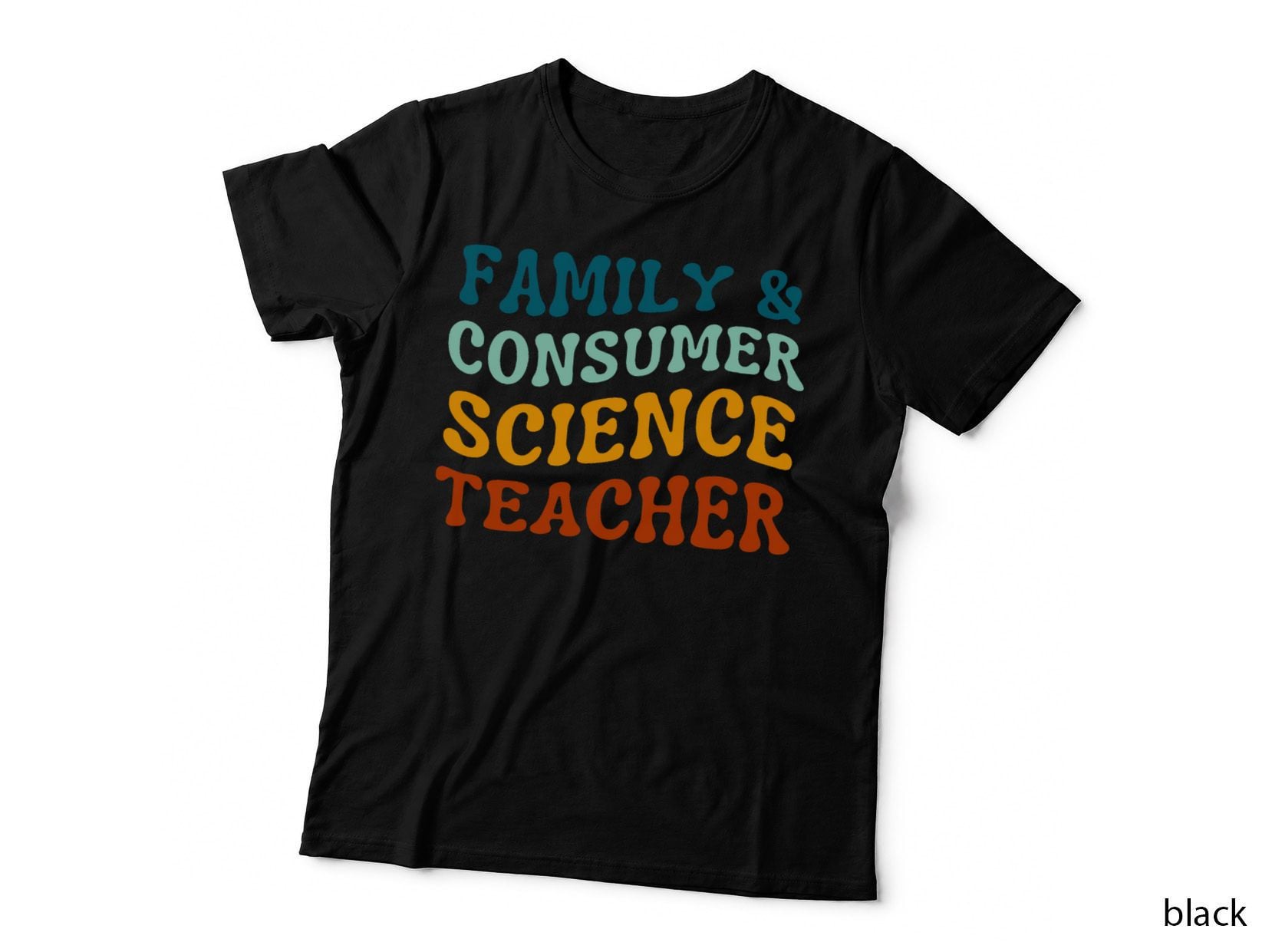 Family and Consumer Science Teacher, Fcs Educator T-Shirt